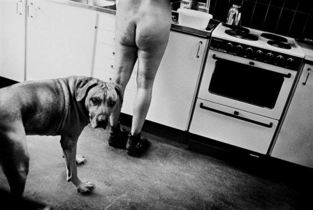 Anders_Petersen_chien_fesses.jpg