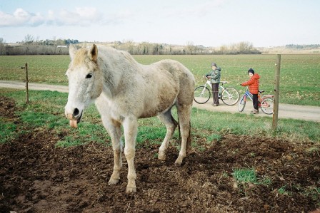 Andrea_Buzzichelli_cheval_enfant.jpg