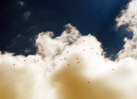 Andres_Gonzalez_ballons_nuage_anniversaire.jpg