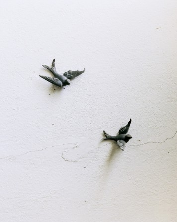 Andres_Gonzalez_oiseau_au_sol.jpg