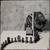 Andy Prokh le chat et le roi.jpg