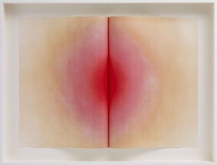 Anish Kapoor un livre ouvert érotisme.jpg