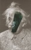 Annalynn_Hammond_les_grands_singes_Einstein_dans_la_brume.jpg