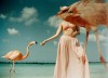 Annelie_Vandendael_les_photos_de_vacances_gachees.jpg