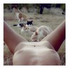 Arash_RADPOUR_chat_sexe.jpg