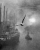 Bill_Brandt_bonjour_vol_oiseau.jpg