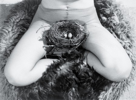 Birgit Jürgenssen Nest 1979 oeufs de pâques.jpg