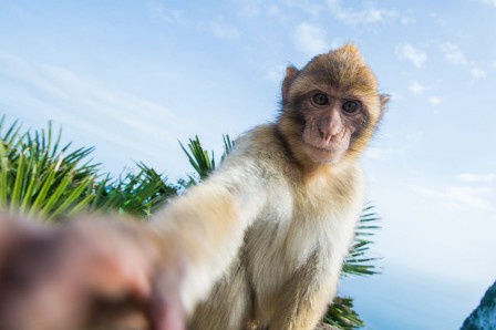 Bogdan_Panait_selfie.jpg