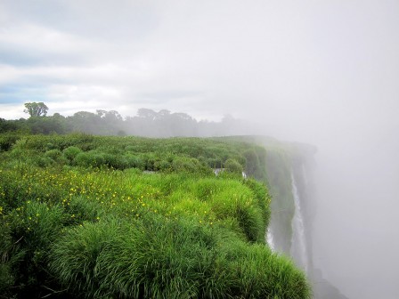 Borle_TTo_Gustavo_cascade_brume_prairie.jpg