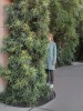 Brooke DiDonato méfiez vous des rousses rousse.jpg