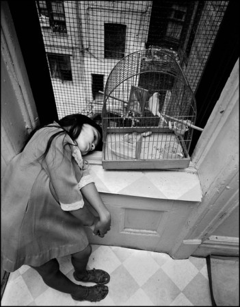 Bruce_Davidson_la_fille_et_l_oiseau_harlem_1966.jpg