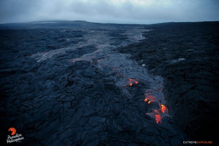 Bruce Omori marcher sur le feu.jpg