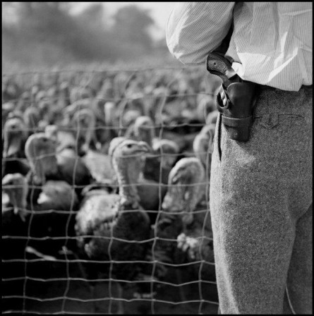 Burt_Glinn__Magnum_Photos_securite_publique.jpg