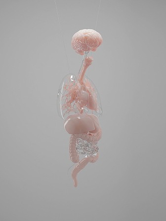 CG TOKI Digital Art la beauté des organes.jpg