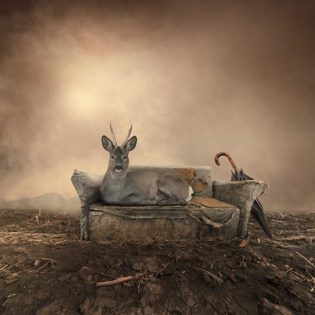 Caras Ionut le divan.Jpg