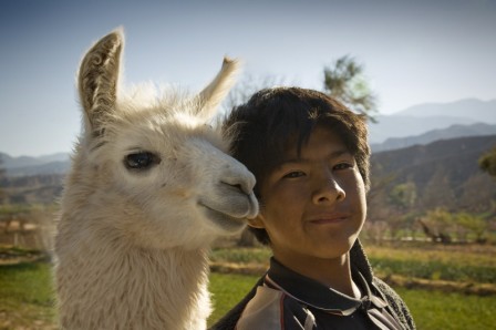 Carlos_Martino_lama_ami_pour_la_vie.jpg