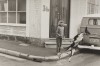Carol_Jerrems_-_Flying_dog__1973_chien.jpg