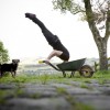 Caulton_Morris_jardinage_brouette_zele_liquide_chien.jpg