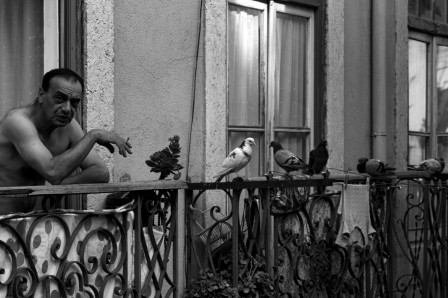 Christopher_Reuter_l_homme_au_pigeons_colombe.jpg