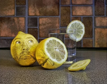 Clint Newsham citron juste une rondelle de moi.JPG