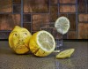 Clint Newsham citron juste une rondelle de moi.JPG
