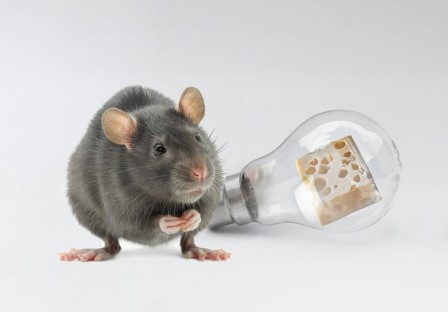 Clint Newsham l'avare de lumière.jpg