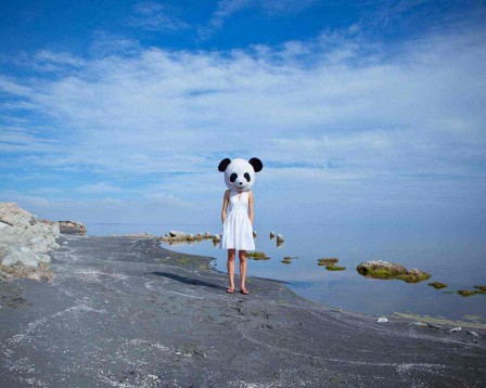 Cody Bratt panda.jpg