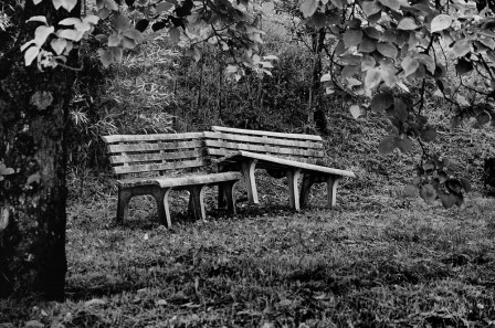 Cornel Pufan les bancs publics.jpg