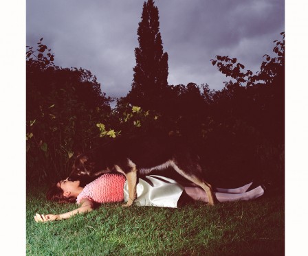 Cornelie Tollens chien bonne nuit mon amour.jpg