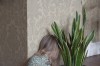 Cristina_Coral_plante.jpg