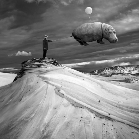 Dariusz_Klimczak_hippopotame_ballon.jpg