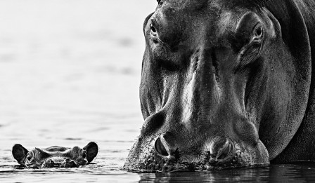 David Yarrow fête des mères.jpg