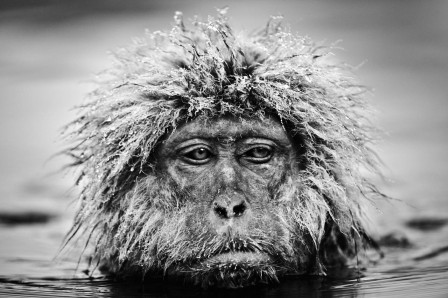 David_Yarrow_j_ai_froid_bonjour.jpg