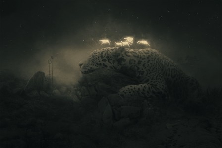 Dawid Planeta l'esprit du tigre.jpg