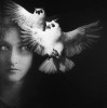 Diane Sebo Powers Blanche.jpg