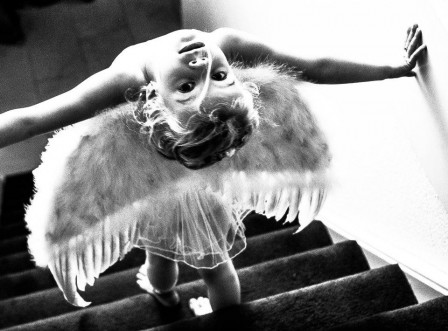 Dorothea Boonstra la chute de l'ange.jpg
