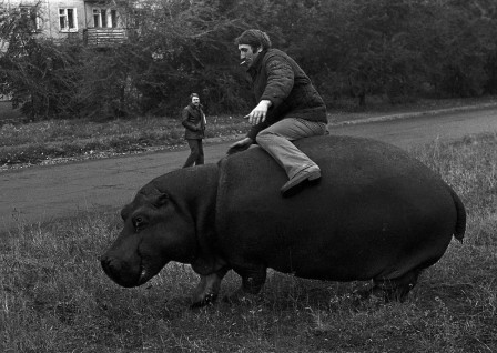 Drunk_Soviet_worker_tries_to_ride_on_hippo_Novokuznetsk_in_Kemerovo_1982_bonjour.jpg