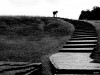 Dwijen_Roy_ane_escalier.jpg