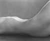 Edward_Weston_ventre_couverture.jpg