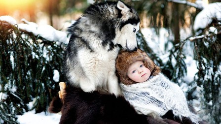 Elena_Shumilova_chien_enfant_sauvage.jpg