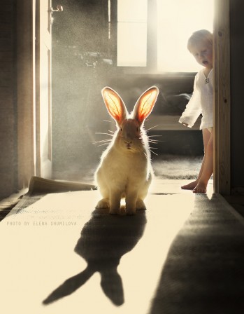 Elena_Shumilova_lapin_oreilles.jpg