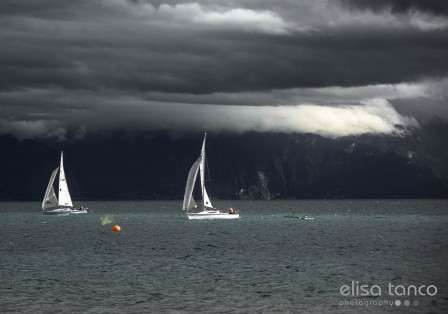 Elisa Tanco le lac Léman.jpg