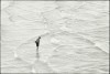 Elliot_Erwitt_plage_bonjour_couverture_mer.jpg