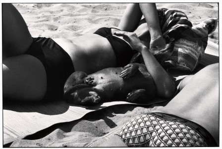 Elliott_Erwitt_chien_bronzer.jpg