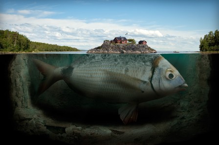 Erik_Johansson__ile_poisson.jpg