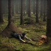 Erik_Johansson_les_fourmis_sauvages.jpg