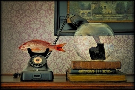 Esther_Margraff__telephone_mademoiselle_poisson_allo_bonjour.jpg