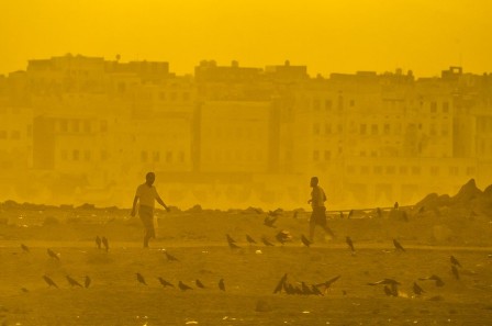 Fairuz_Othman_soleil_pigeon.jpg