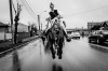 Faselix_RobyFasoli__cheval_bonjour.jpg