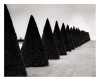 Frang_Dushaj_ordre_cone_Versailles.jpg